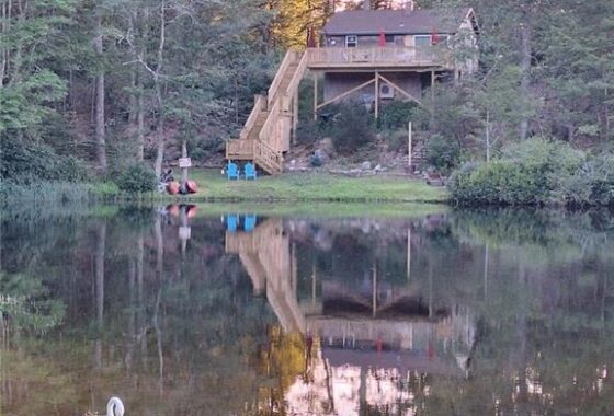 170617339 389C Wyassup Road