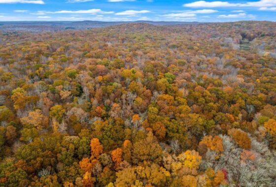 170371521 0 Lake Of Isles Road